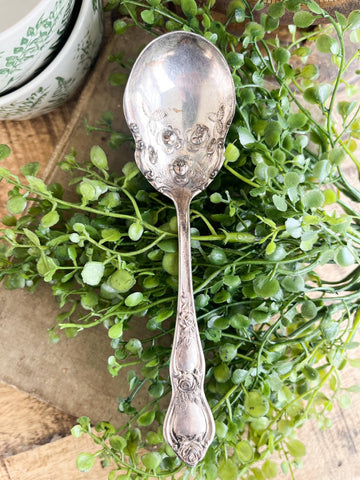 Ornate Sugar Spoon NO STAMP