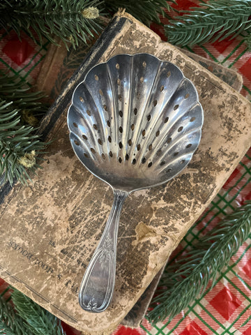 Ornate Scalloped Sugar Shell