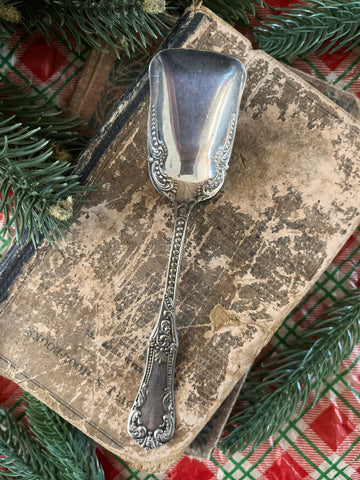 Ornate Scalloped Sugar Shovel