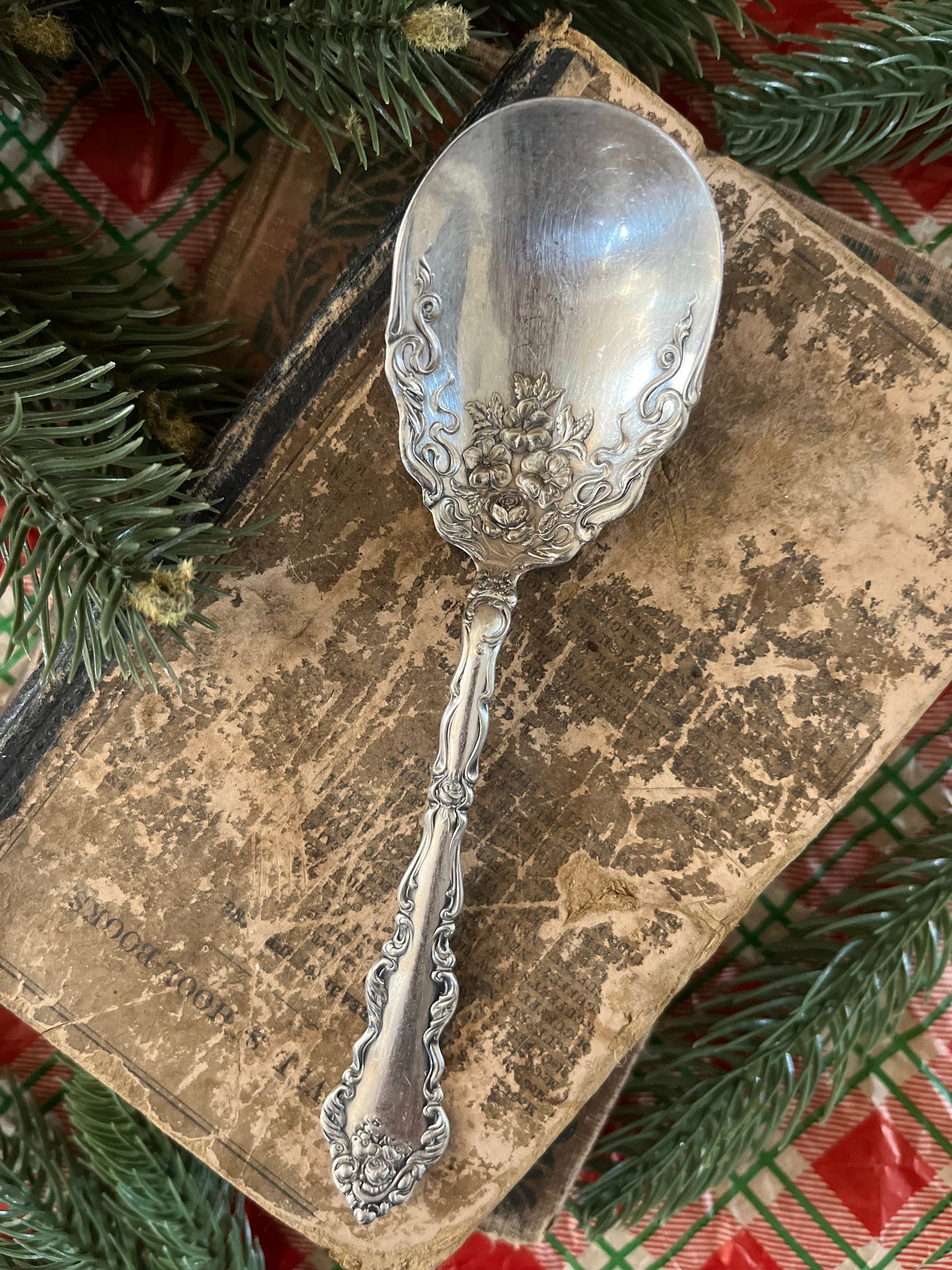 Ornate Scallop Sugar Spoon