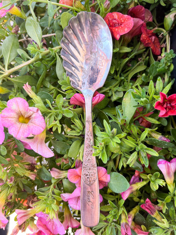 Ornate Sugar Spoon