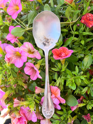 Ornate Sugar Spoon