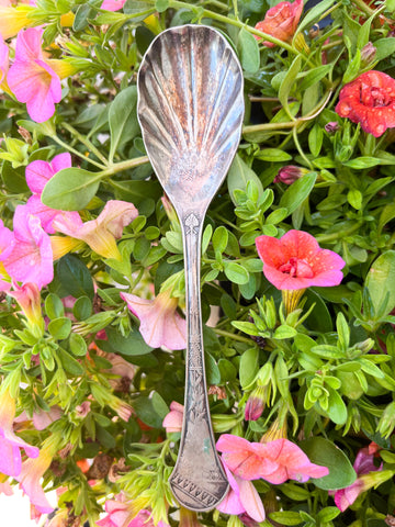Ornate Sugar Spoon