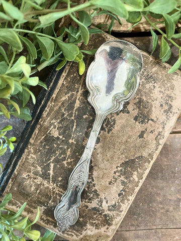Ornate Sugar Spoon