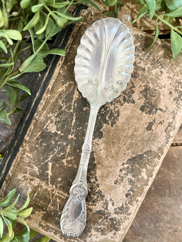 Ornate Scallop Sugar Spoon