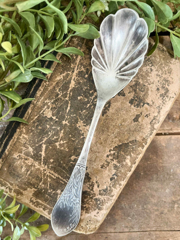 Ornate Scalloped Sugar Spoon