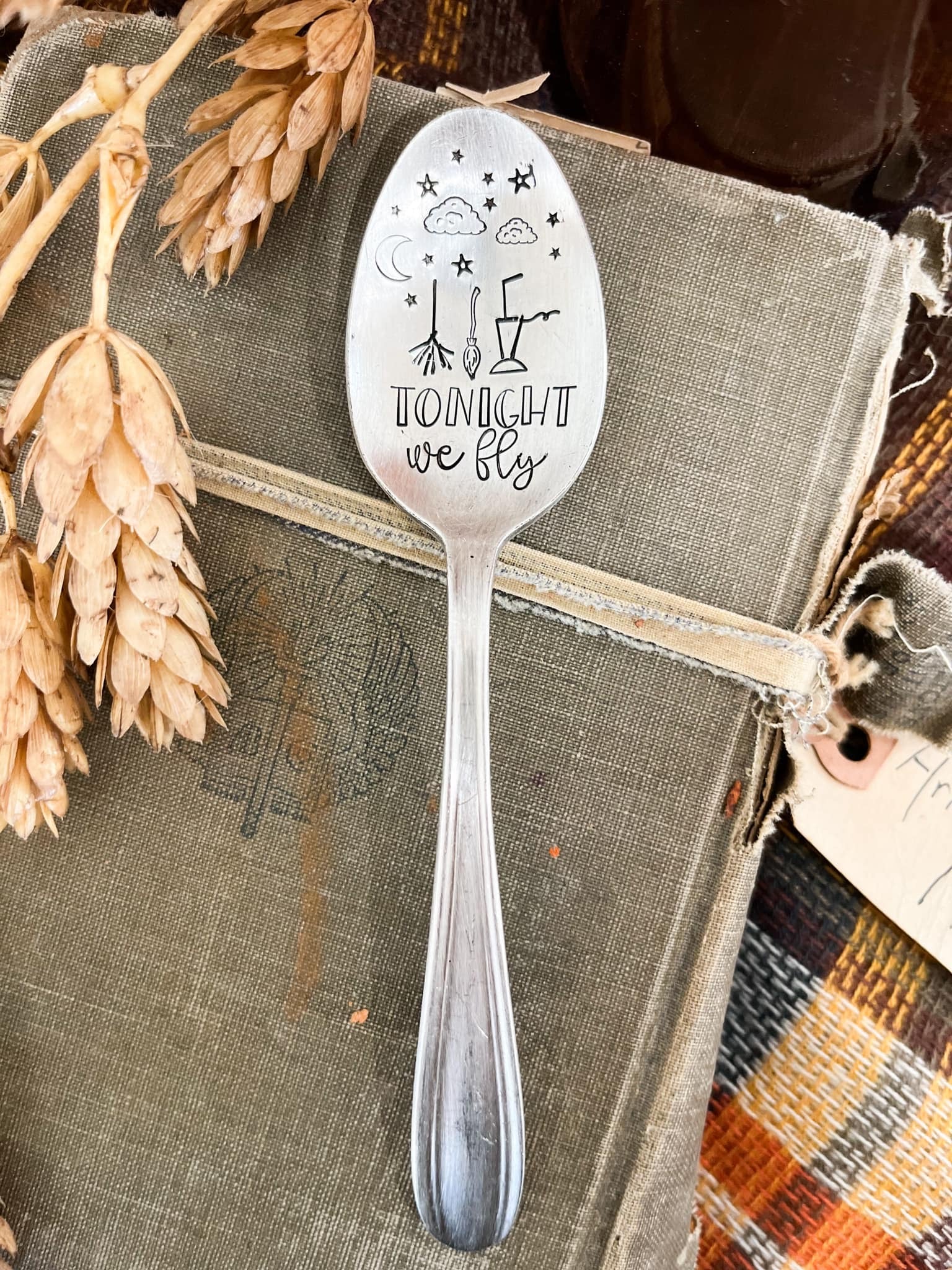 Tonight We Fly Vintage Spoon