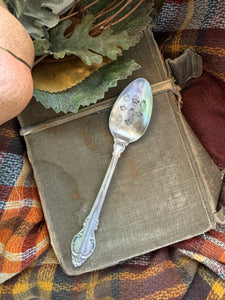 Pumpkins and Leaves Vintage Spoon