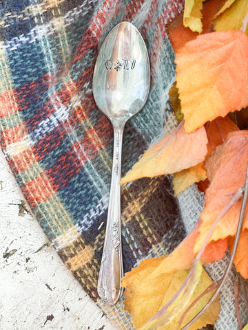 Cozy Vintage Spoon